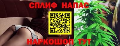 гидра Балашиха