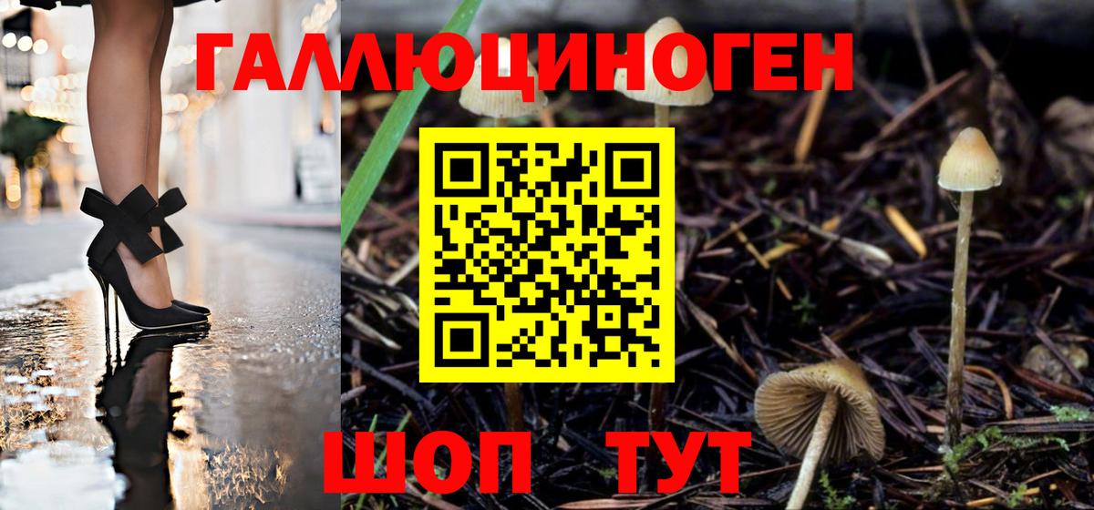 Апшеронск  Псилоцибиновые грибы Cubensis  Вход с VPN 