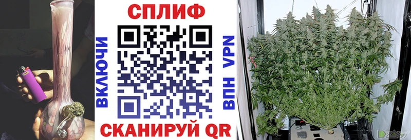 Конопля Amnesia Апшеронск